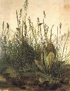 Albrecht Durer The Great Ture oil painting on canvas